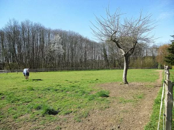 Cottage zu verkaufen mayet, pays-de-la-loire, P1297 Bild - 4