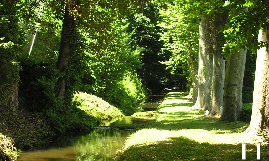 Schloss zu verkaufen mazamet, midi-pyrenees, 11-2214 Bild - 14