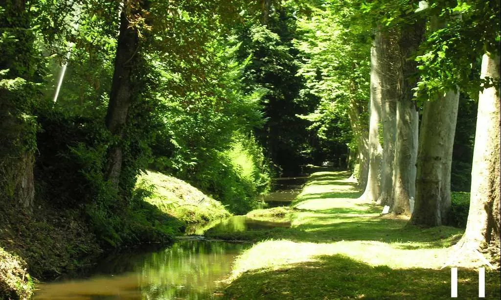 Schloss zu verkaufen mazamet, midi-pyrenees, 11-2214 Bild - 14
