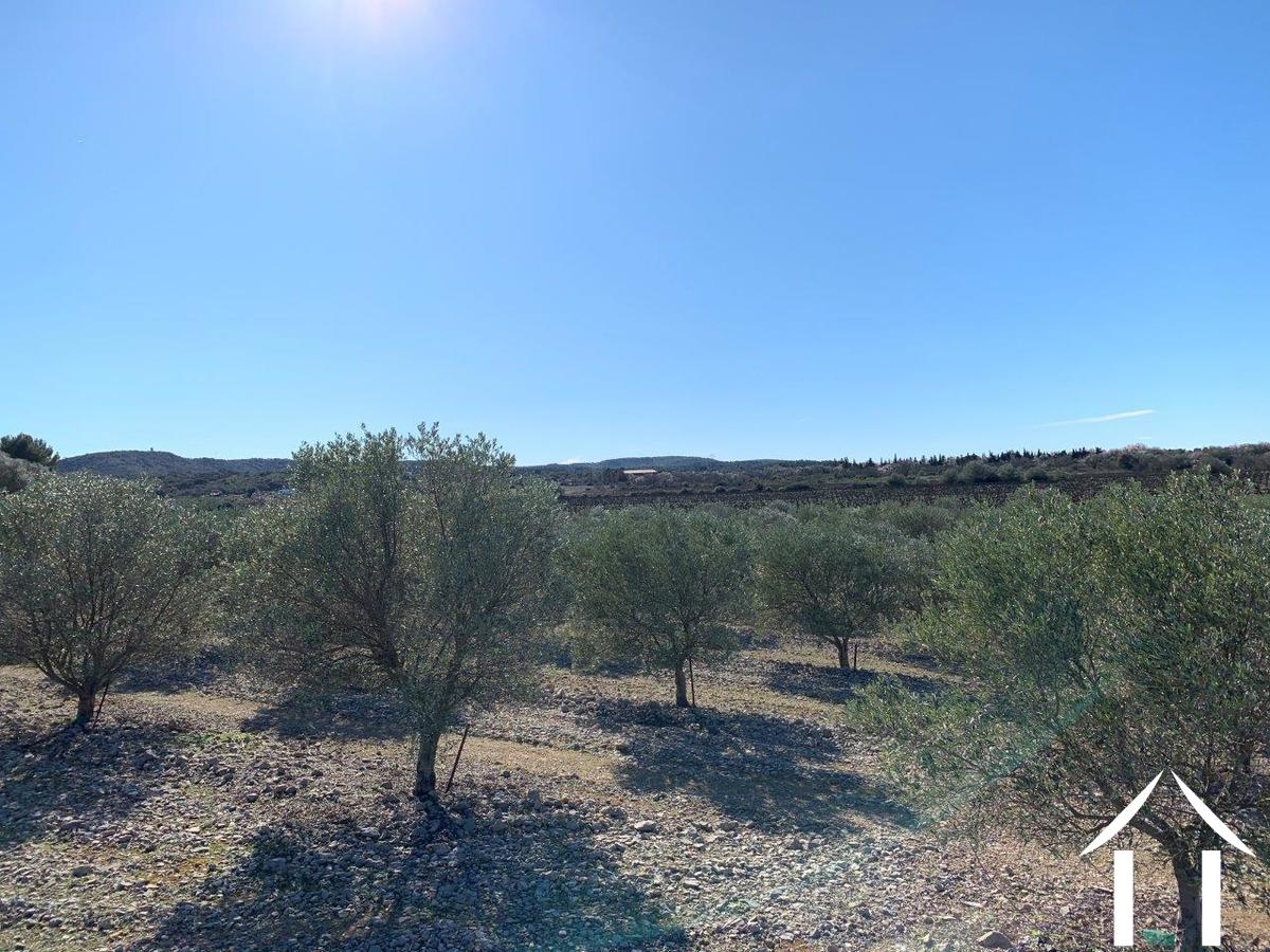 Immobilien 1 hectare ++ zu verkaufen fabregues, languedoc-roussillon, 11-2407 Bild - 9