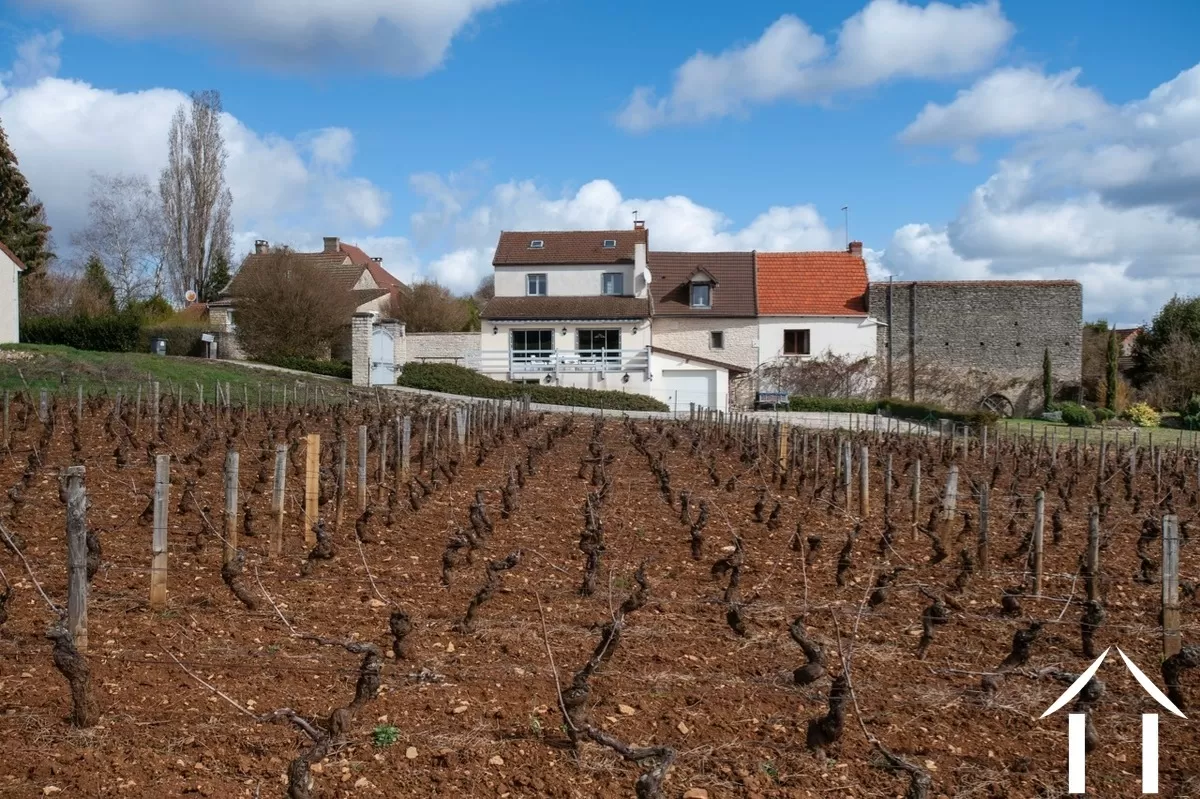 Charakterhaus zu verkaufen santenay, burgund, BH5154V Bild - 21