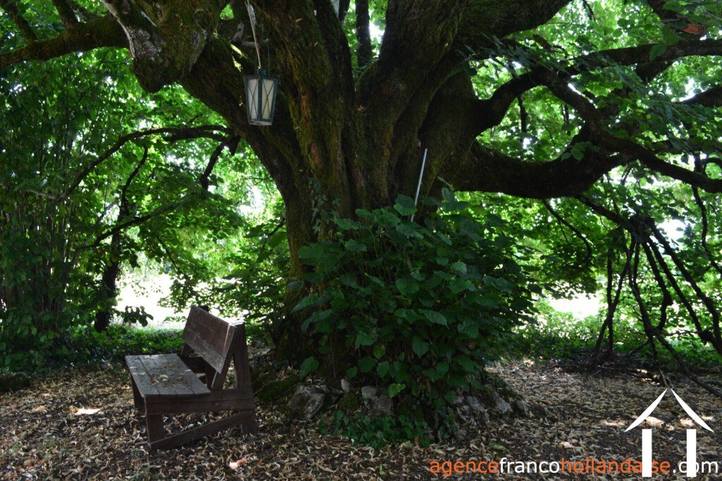 Haus mit Gästehaus zu verkaufen st saud lacoussiere, aquitaine, Li1002 Bild - 38