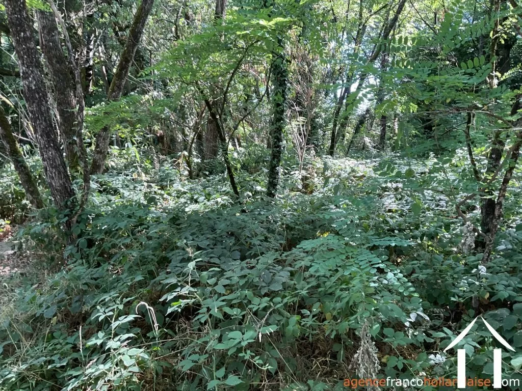 Haus zu verkaufen , Li1003 Bild - 38