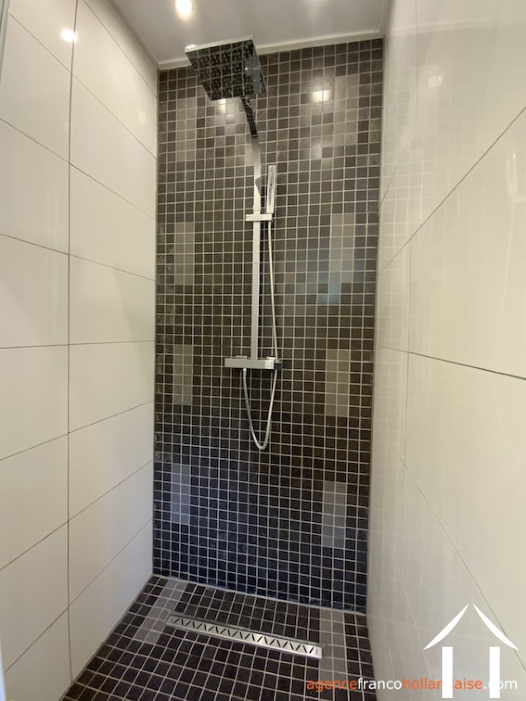 Haus zu verkaufen anlhiac, aquitaine, Li1015 Bild - 11