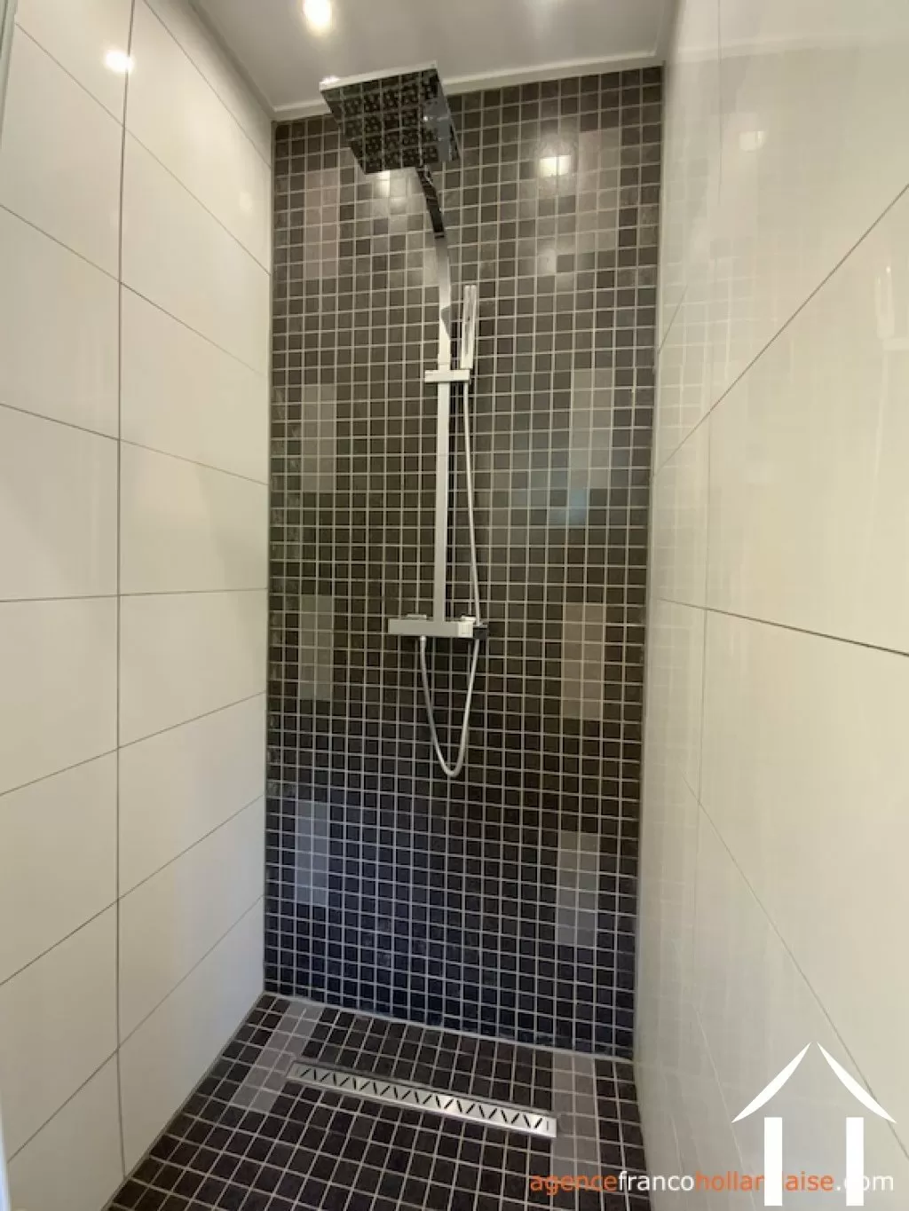 Haus zu verkaufen anlhiac, aquitaine, Li1015 Bild - 11