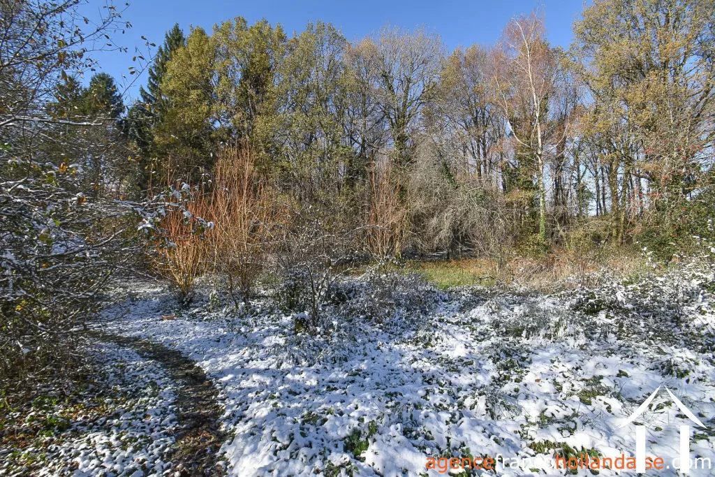 Haus mit Gästehaus zu verkaufen chateauneuf la foret, limousin, Li1025 Bild - 42