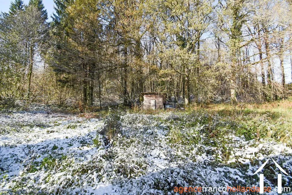 Haus mit Gästehaus zu verkaufen chateauneuf la foret, limousin, Li1025 Bild - 41