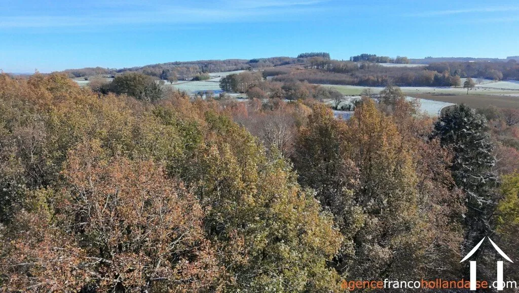 Haus mit Gästehaus zu verkaufen chateauneuf la foret, limousin, Li1025 Bild - 44