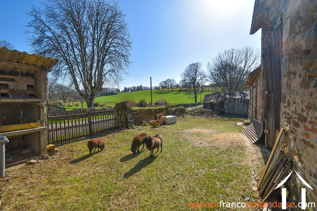 Haus mit Gästehaus zu verkaufen la porcherie, limousin, Li1036 Bild - 28