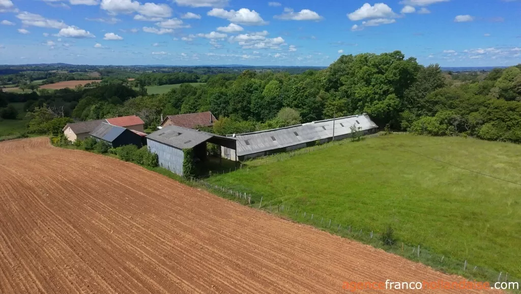 Immobilien 1 hectare ++ zu verkaufen la porcherie, limousin, Li1052 Bild - 3