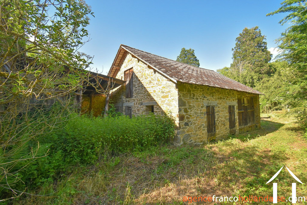 Immobilien 1 hectare ++ zu verkaufen la croisille sur briance, limousin, Li1059 Bild - 42