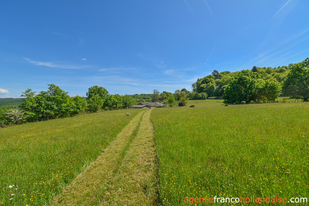 Immobilien 1 hectare ++ zu verkaufen chateauneuf la foret, limousin, Li1062 Bild - 57