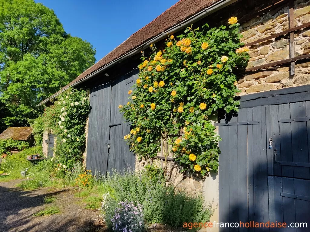 Haus mit Gästehaus zu verkaufen lubersac, limousin, Li1070 Bild - 35