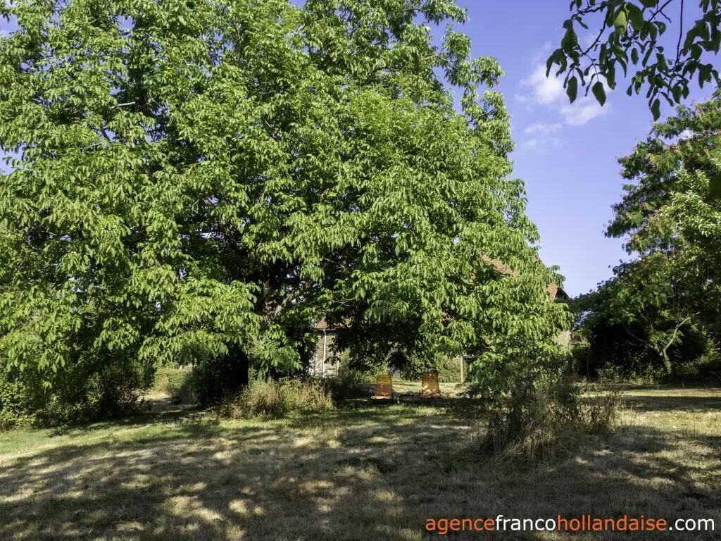 Haus mit Gästehaus zu verkaufen lubersac, limousin, Li1070 Bild - 38