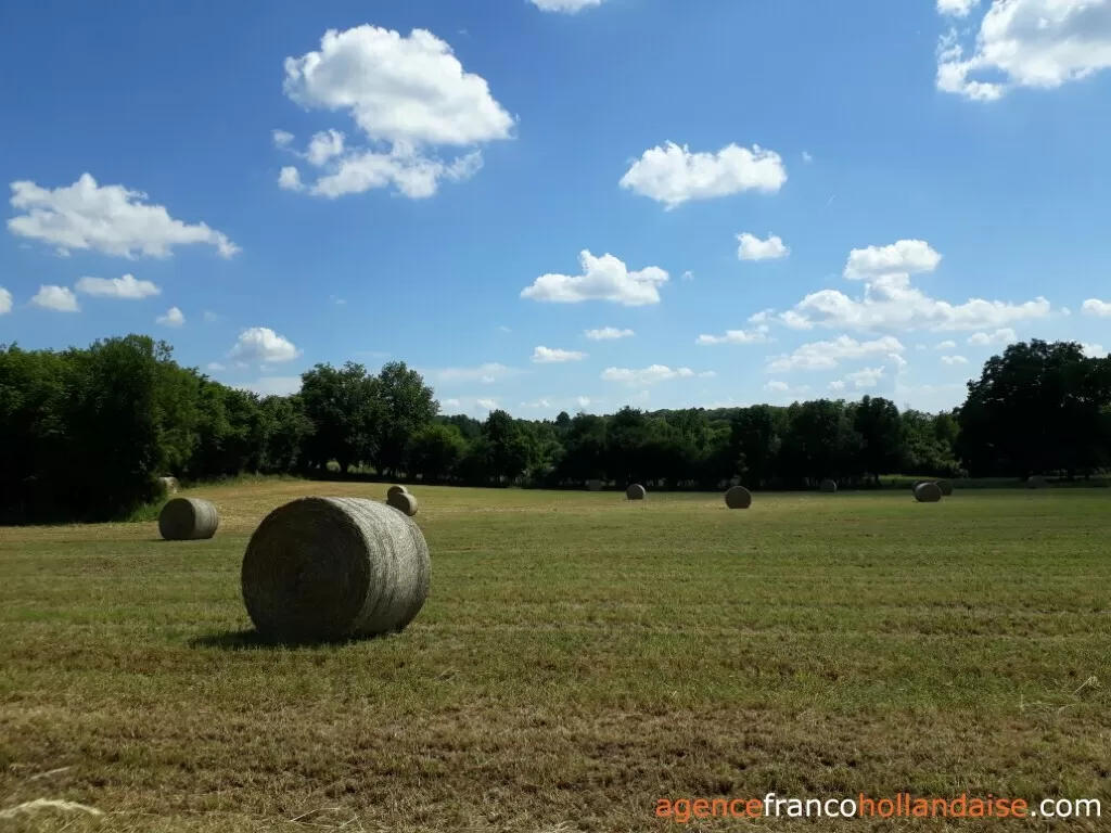 Haus mit Gästehaus zu verkaufen lubersac, limousin, Li1070 Bild - 39