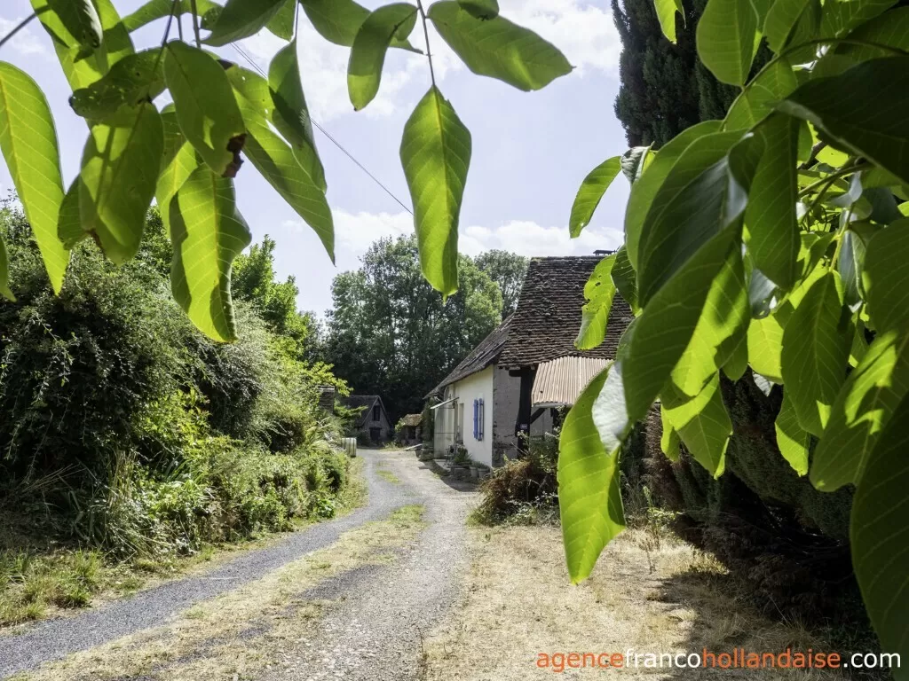 Haus mit Gästehaus zu verkaufen lubersac, limousin, Li1070 Bild - 2