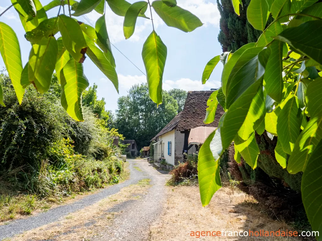 Haus mit Gästehaus zu verkaufen lubersac, limousin, Li1070 Bild - 3