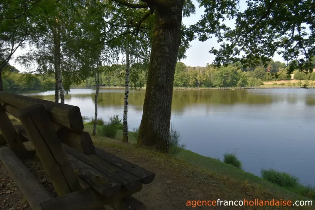 Haus zu verkaufen meilhards, limousin, Li1071 Bild - 33