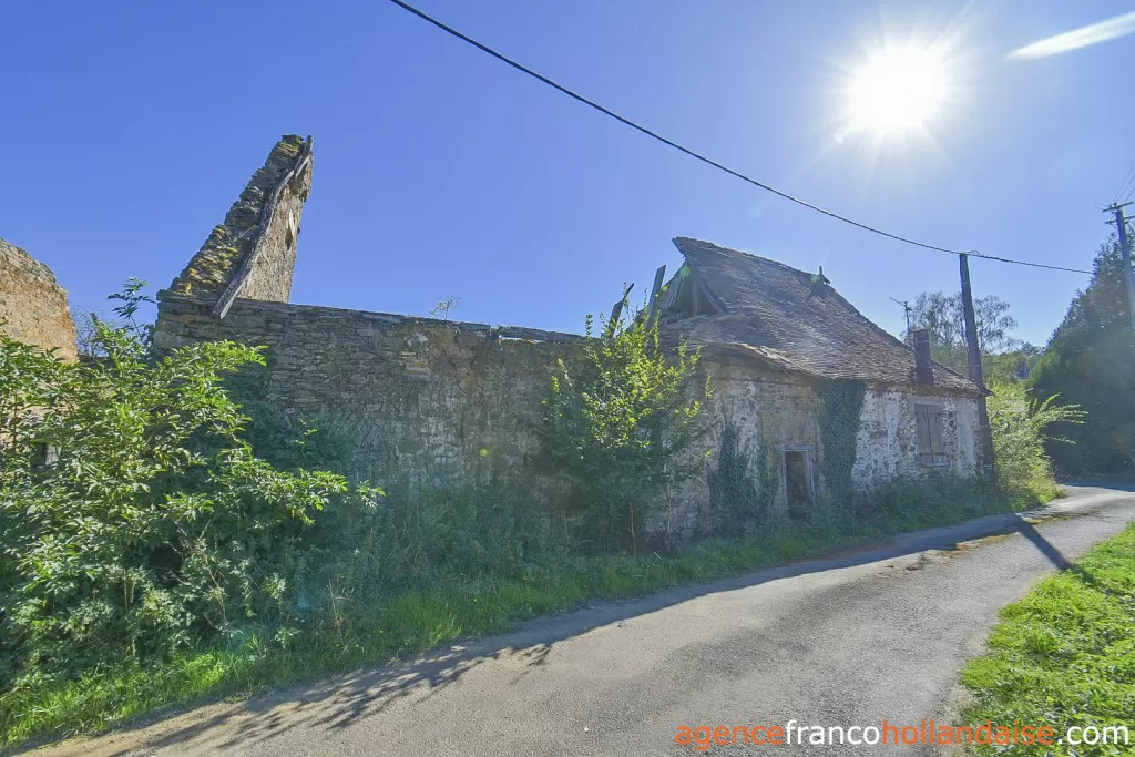 Haus mit Gästehaus zu verkaufen st germain les belles, limousin, Li1075 Bild - 41