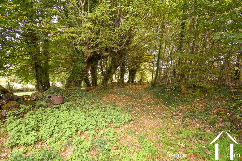 Haus zu verkaufen st germain les belles, limousin, Li792 Bild - 45