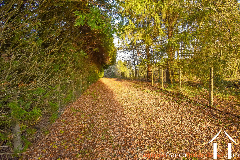 Dorfshaus zu verkaufen linards, limousin, Li856 Bild - 91