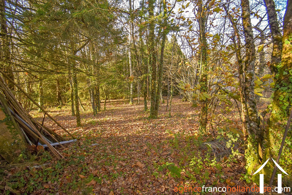 Dorfshaus zu verkaufen linards, limousin, Li856 Bild - 75