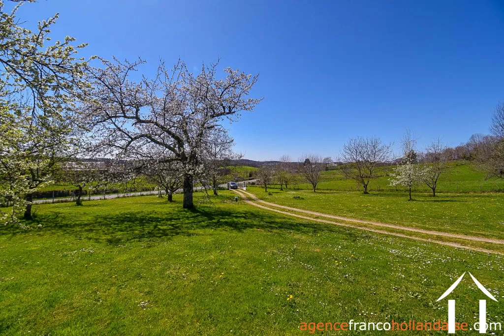 Immobilien 1 hectare ++ zu verkaufen la croisille sur briance, limousin, Li894 Bild - 58