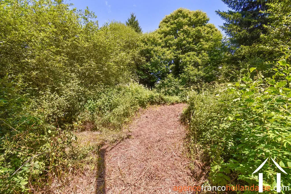 Haus zu verkaufen nedde, limousin, Li913 Bild - 39