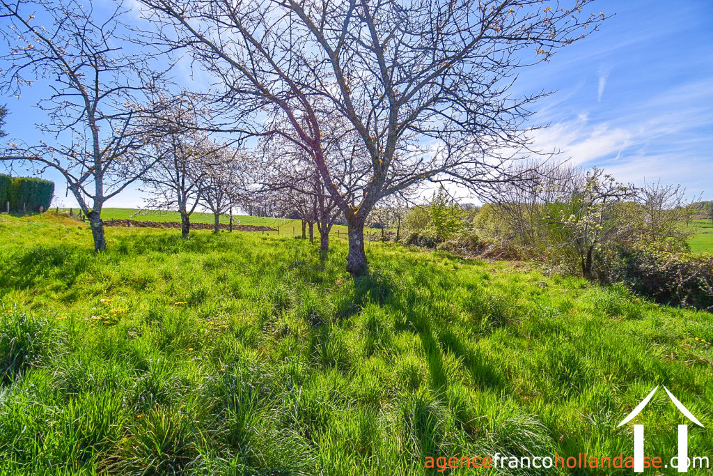 Haus zu verkaufen meuzac, limousin, Li985 Bild - 41