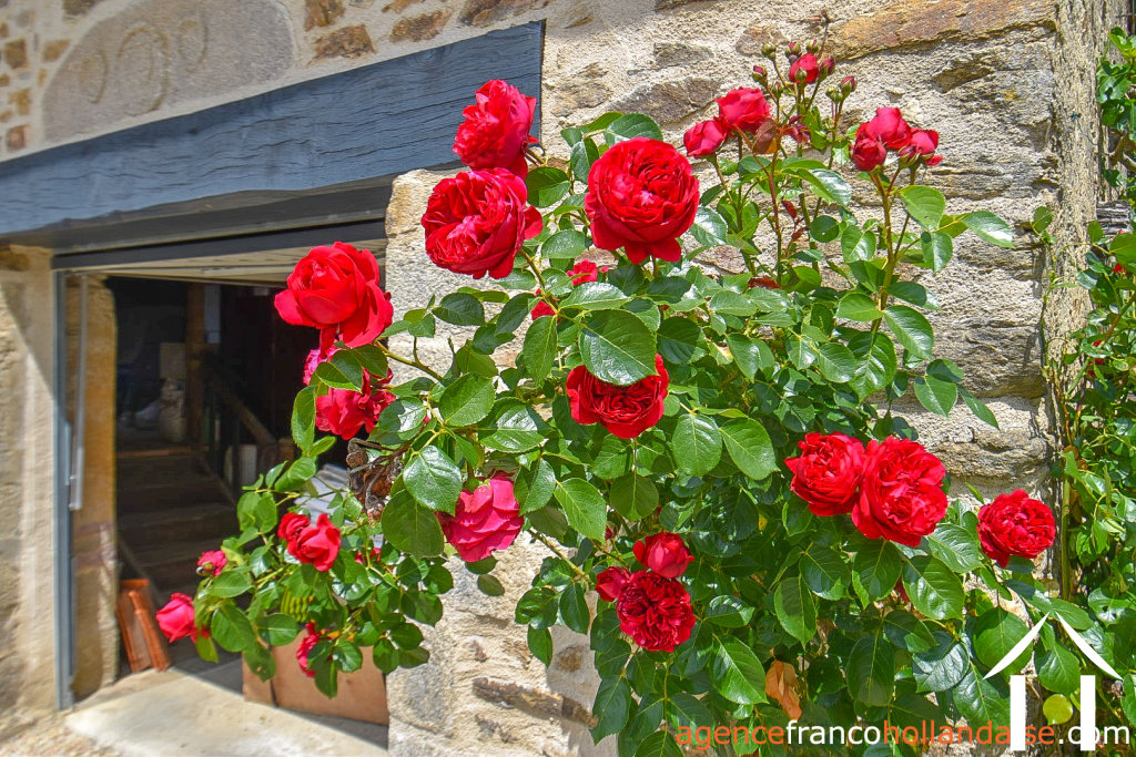 Haus zu verkaufen chateauneuf la foret, limousin, Li990 Bild - 39