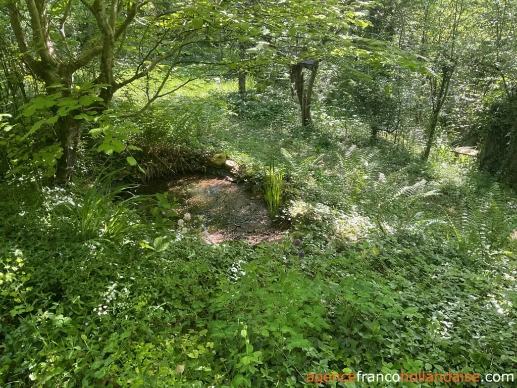 Haus zu verkaufen st pardoux corbier, limousin, Li993 Bild - 25