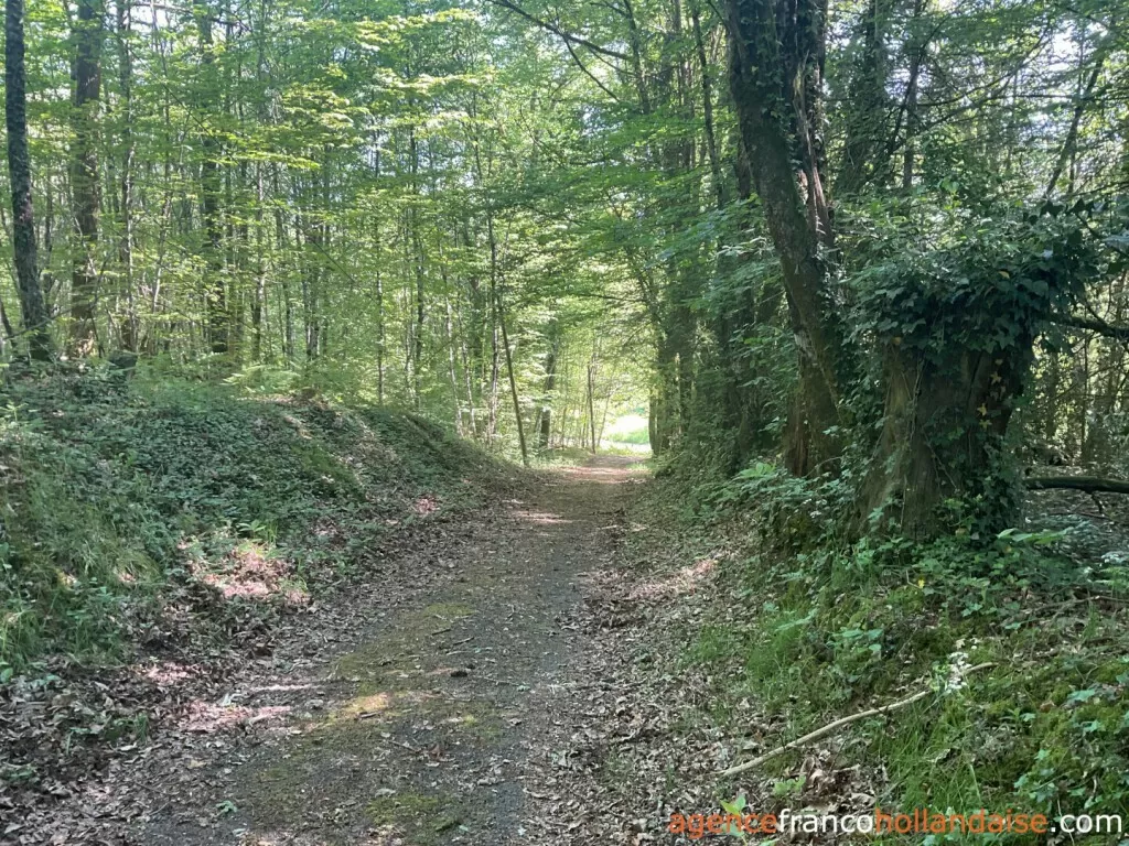 Haus zu verkaufen st pardoux corbier, limousin, Li993 Bild - 30