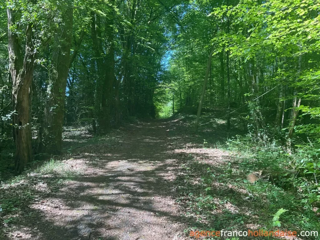 Haus zu verkaufen st pardoux corbier, limousin, Li993 Bild - 29