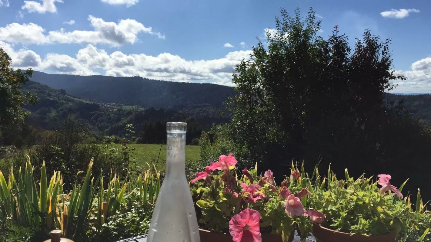 Charakterhaus zu verkaufen valcivieres, auvergne, AP030071137 Bild - 10