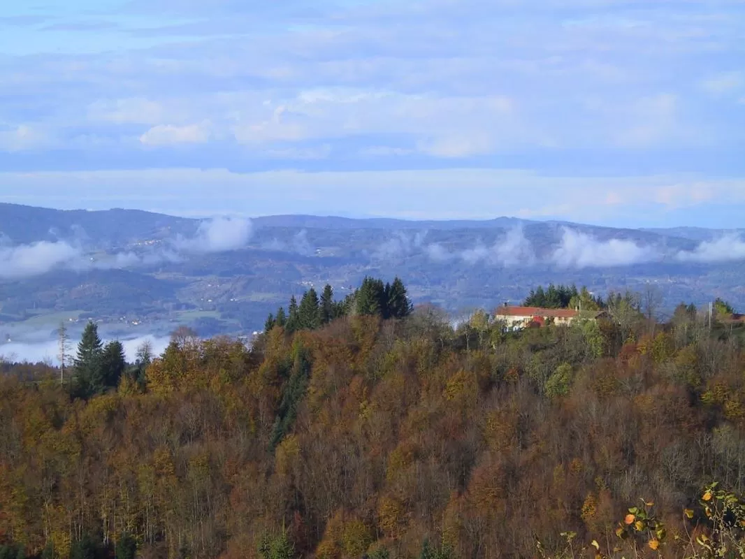 Charakterhaus zu verkaufen valcivieres, auvergne, AP030071137 Bild - 14