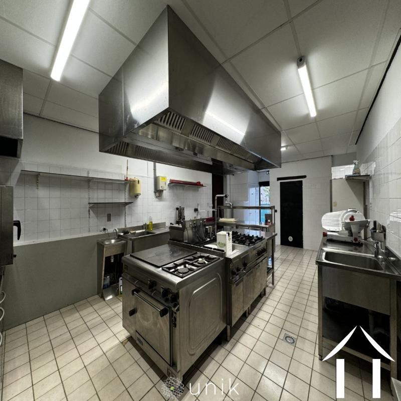 Chateau zu verkaufen vicq, auvergne, AP030071140 Bild - 12