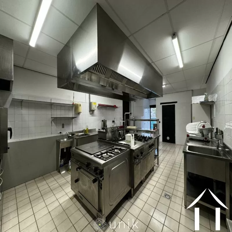 Chateau zu verkaufen vicq, auvergne, AP030071140 Bild - 12
