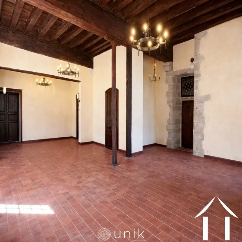 Chateau zu verkaufen vicq, auvergne, AP030071140 Bild - 9