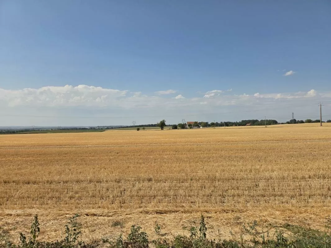 Immobilien 1 hectare ++ zu verkaufen sanssat, auvergne, AP030071199 Bild - 13