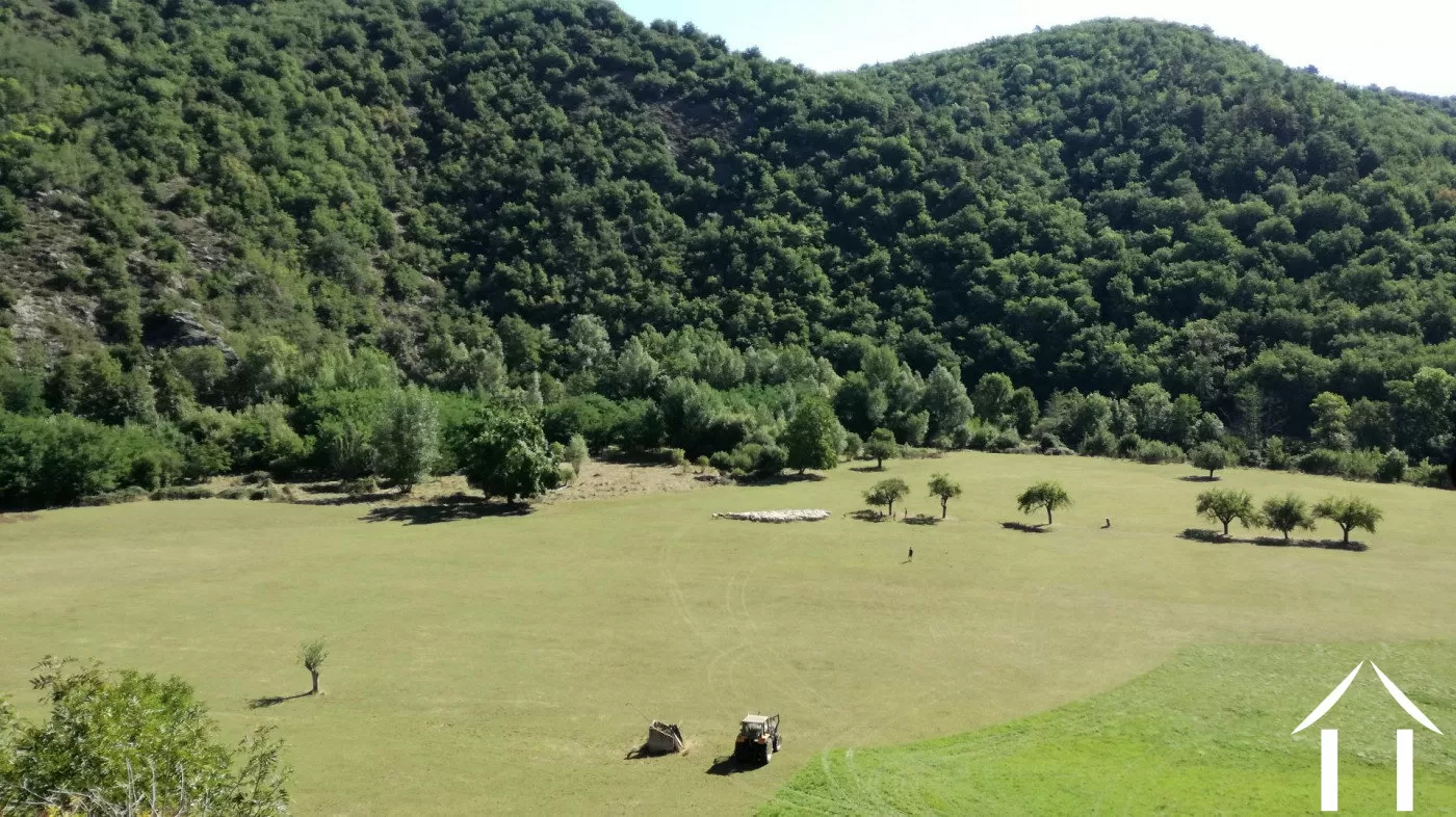 Immobilien 1 hectare ++ zu verkaufen blesle, auvergne, AP03007902 Bild - 2