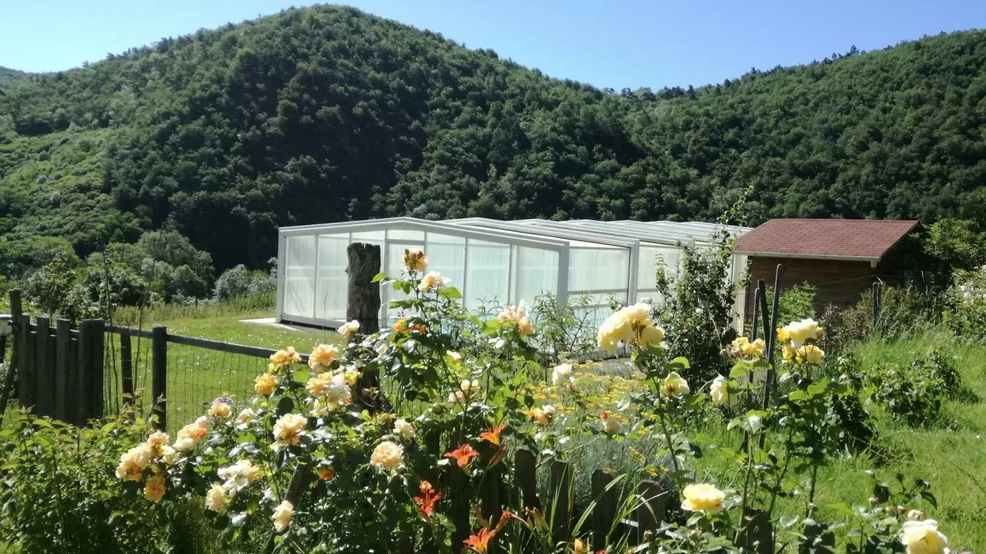 Immobilien 1 hectare ++ zu verkaufen blesle, auvergne, AP03007902 Bild - 1