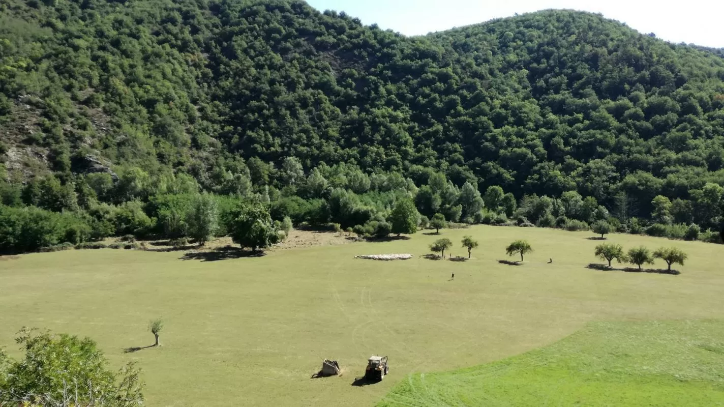 Immobilien 1 hectare ++ zu verkaufen blesle, auvergne, AP03007902 Bild - 14