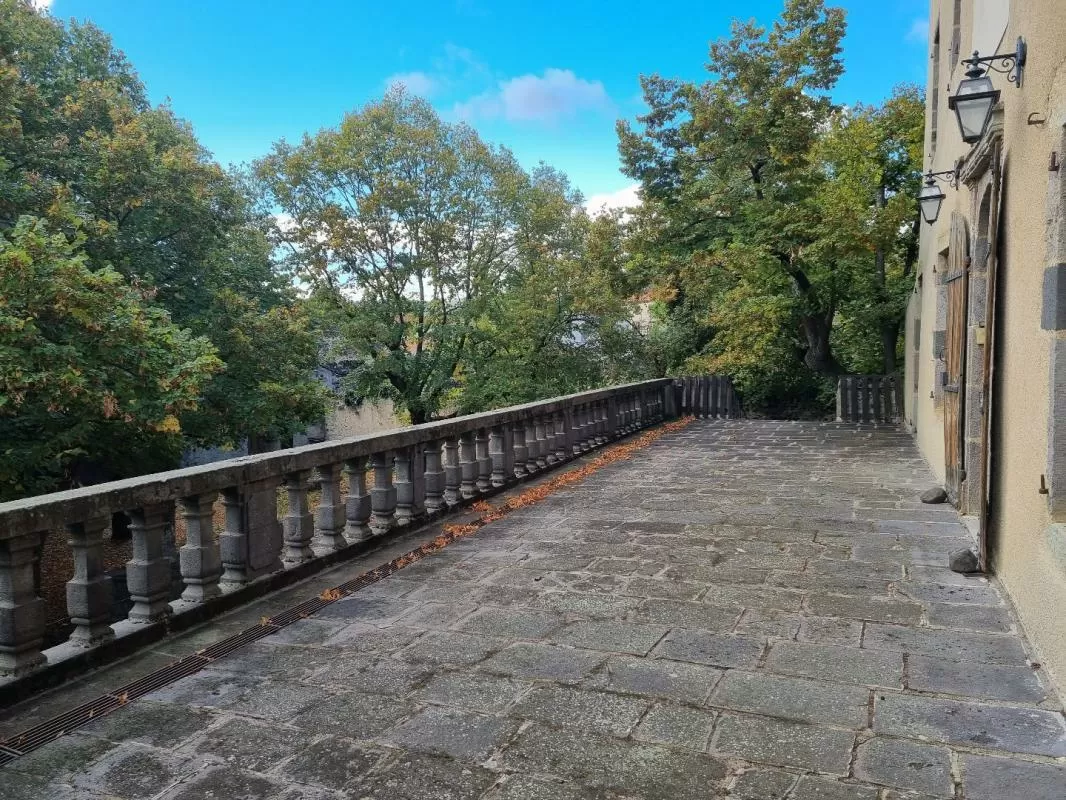 Schloss zu verkaufen antoingt, auvergne, AP03007945 Bild - 14