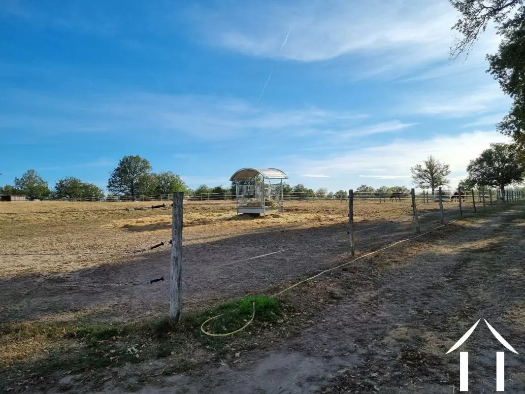 Reiterhof Bauerhaus zu verkaufen sauvagny, auvergne, AP03007997 Bild - 7