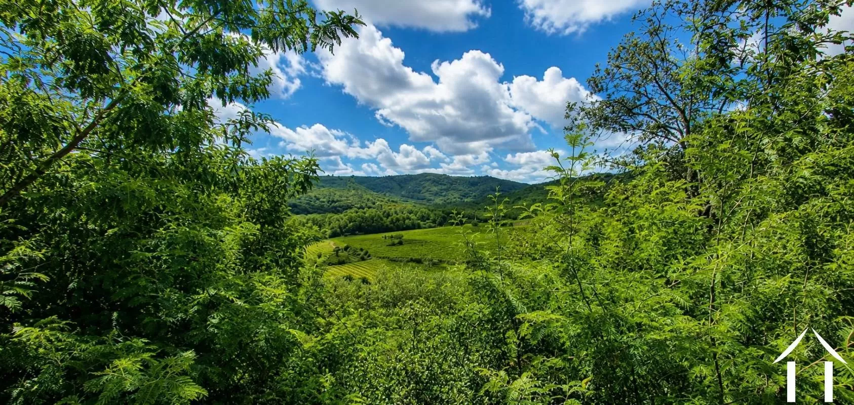 Immobilien 1 hectare ++ zu verkaufen roquebrun, languedoc-roussillon, EG09-6993 Bild - 2