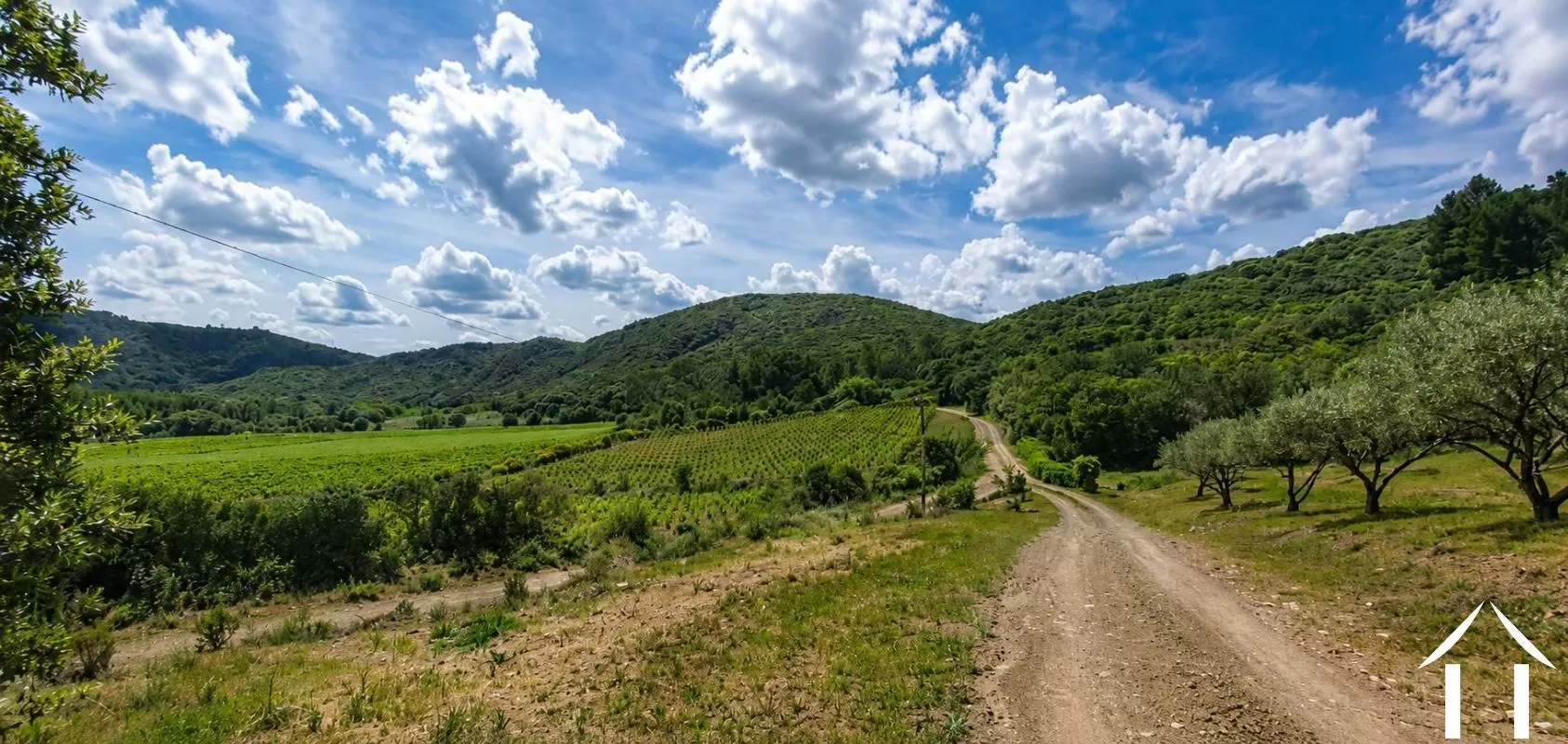 Immobilien 1 hectare ++ zu verkaufen roquebrun, languedoc-roussillon, EG09-6993 Bild - 4