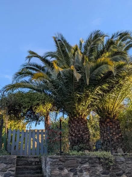 Charakterhaus zu verkaufen fos, midi-pyrenees, EG11-2508 Bild - 9