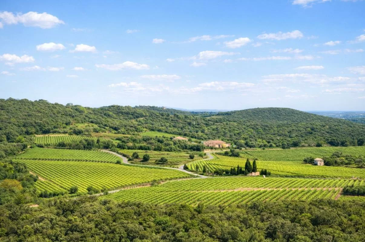 Haus zu verkaufen faugeres, rhone-alpes, EG11-2546 Bild - 9