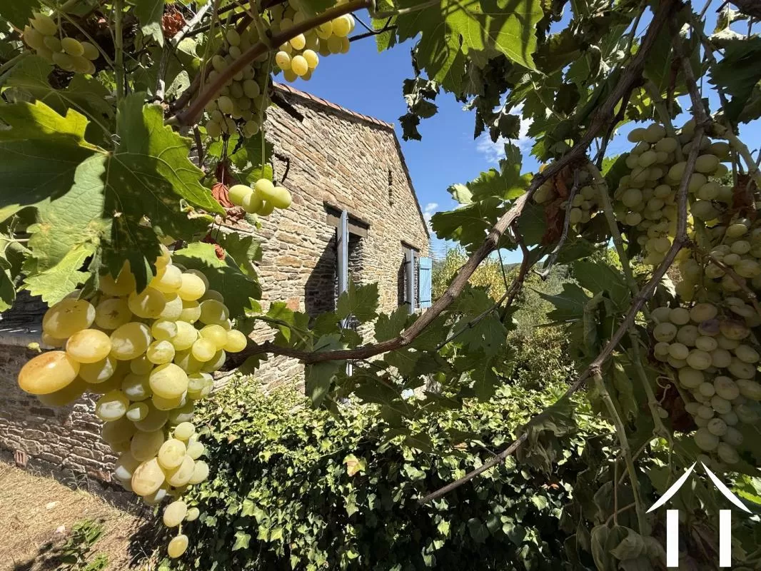 Charakterhaus zu verkaufen lamalou les bains, languedoc-roussillon, EG11-2561 Bild - 4