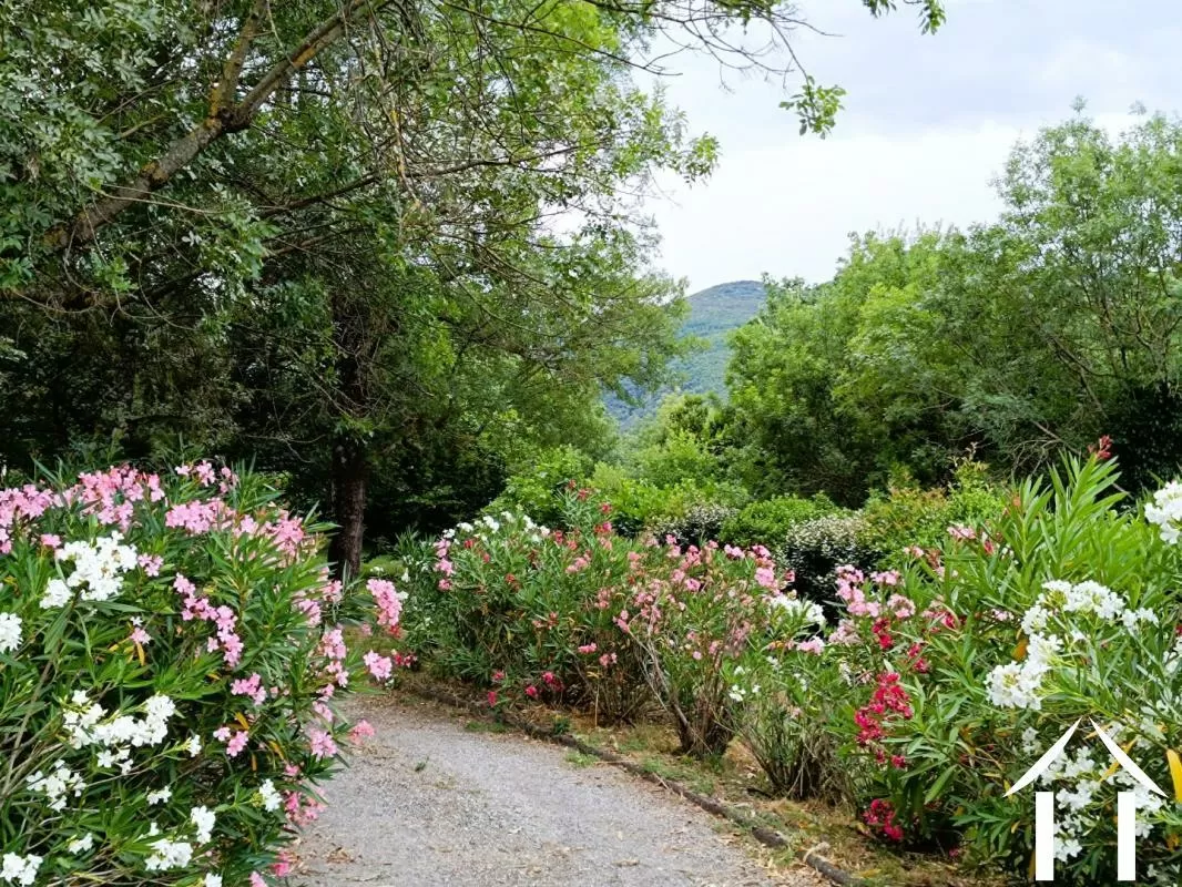 Haus zu verkaufen colombieres sur orb, languedoc-roussillon, EG11-2562 Bild - 3